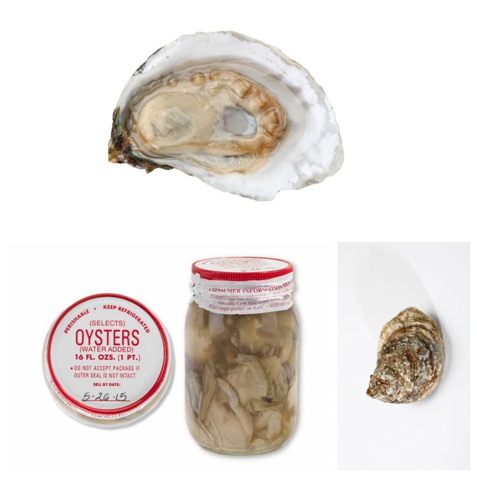 Our Oysters Eagle Flats Fresh York River Oysters Andersons Neck